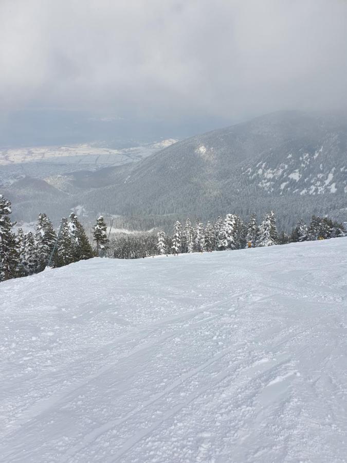 Spacious And Cosy Apartment In Bansko Royal Towers Complex ภายนอก รูปภาพ