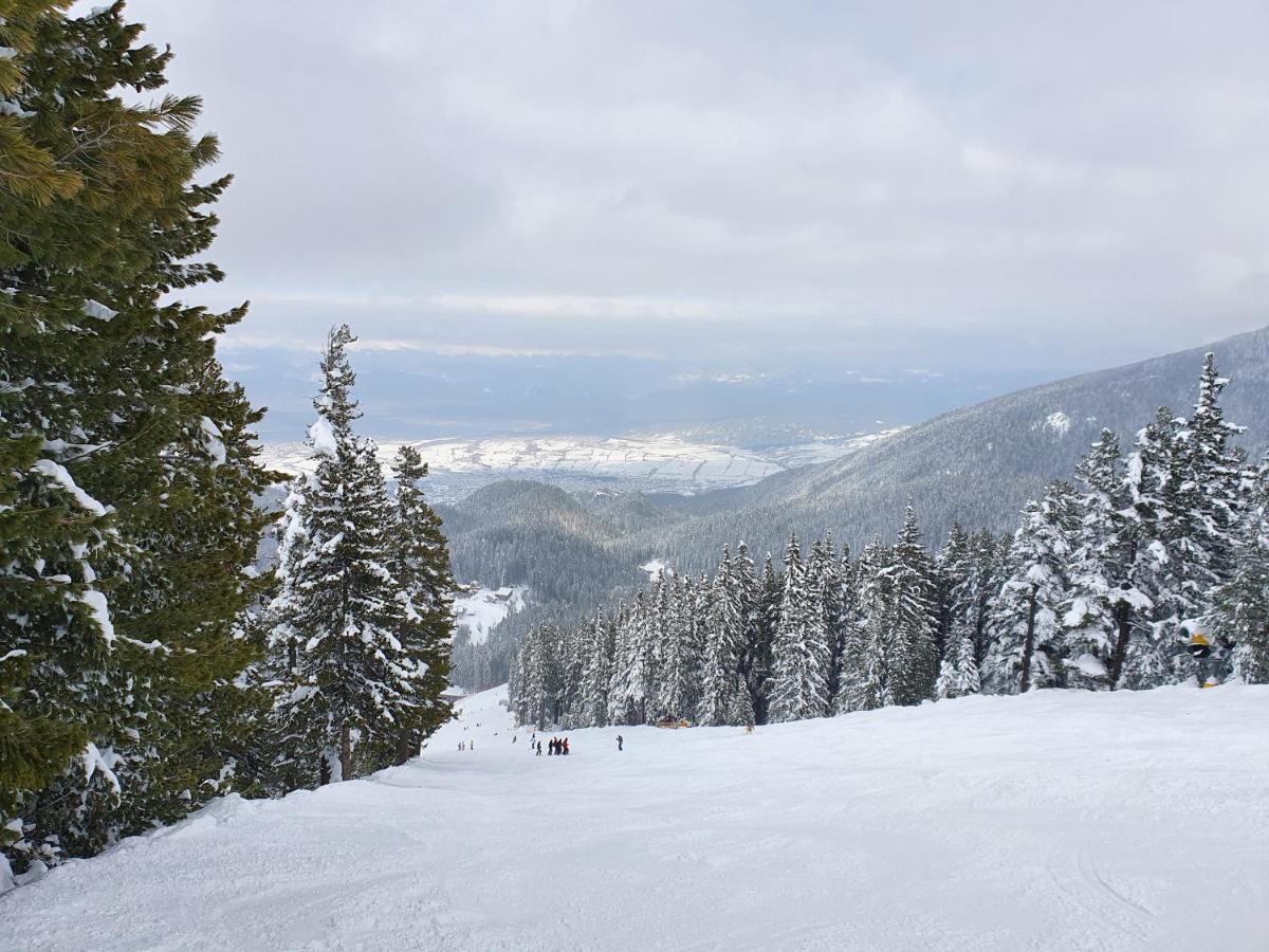 Spacious And Cosy Apartment In Bansko Royal Towers Complex ภายนอก รูปภาพ